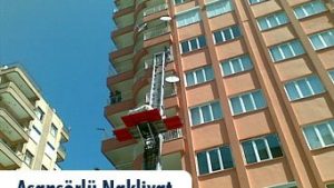 KÜLTÜR NAKLİYE FİRMASI